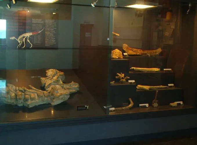 Casa Bernat Chalet *